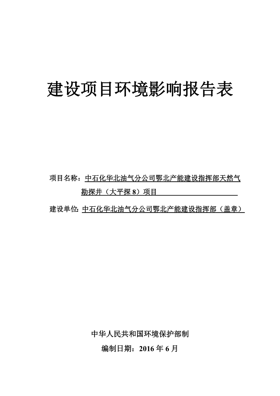 环境影响评价报告公示：勘探井大平探环评报告.doc_第1页