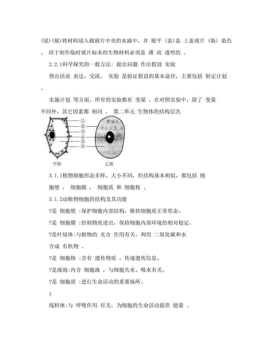 最新七年级生物(苏教版)上学期知识点总结(有答案)优秀名师资料.doc_第3页