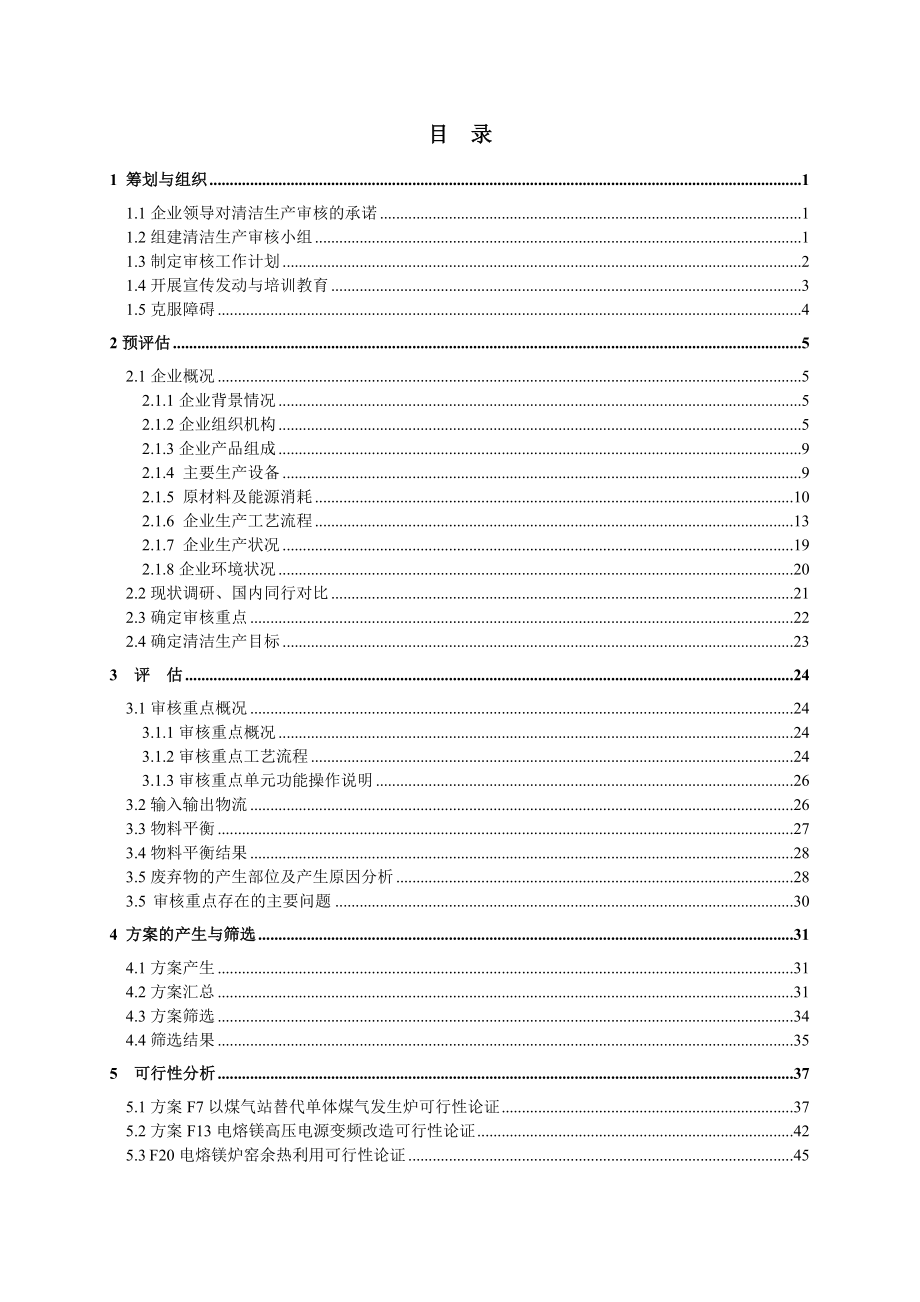 镁制品行业清洁生产审核报告.doc_第2页