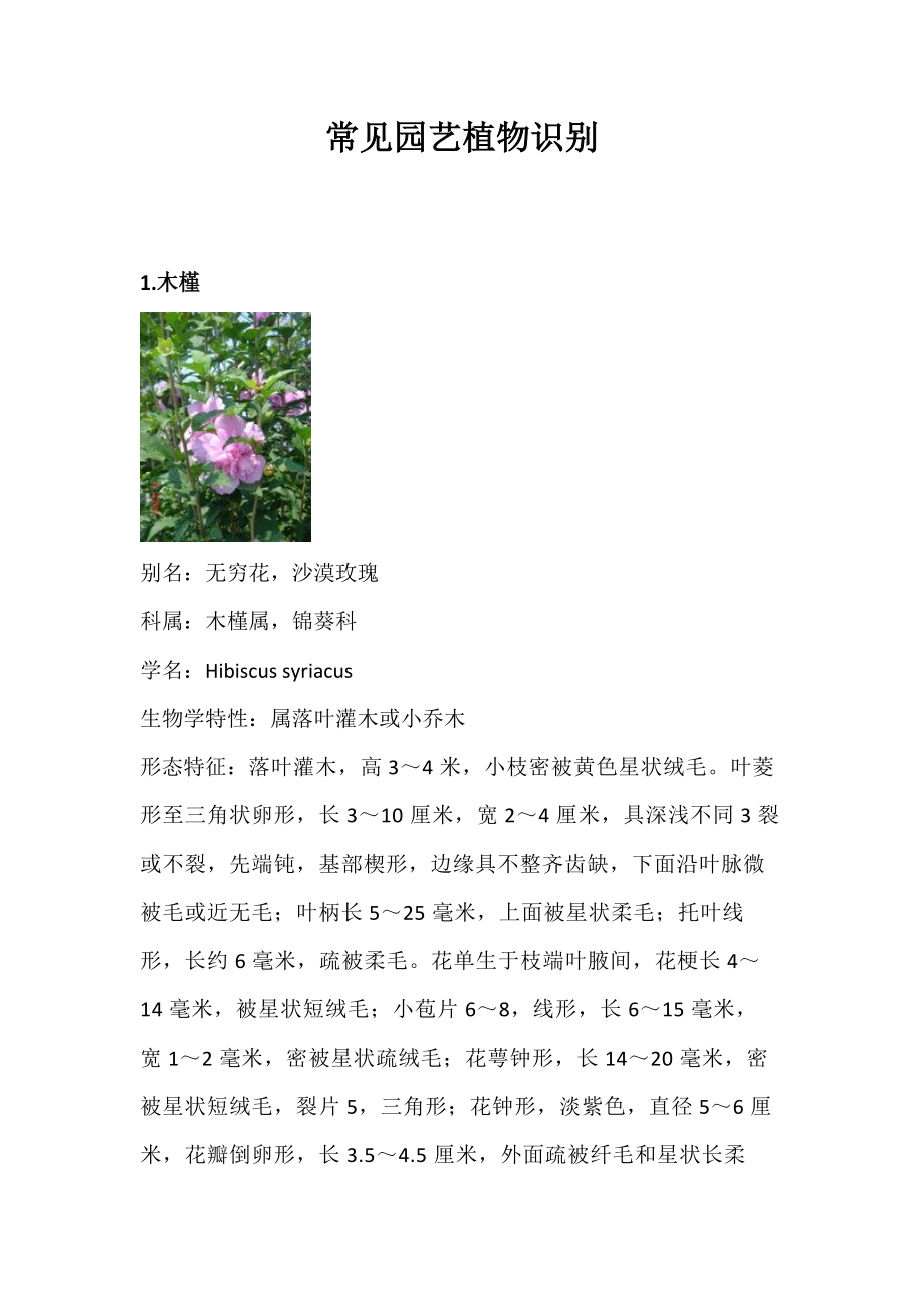 常见园艺植物识别.doc_第1页