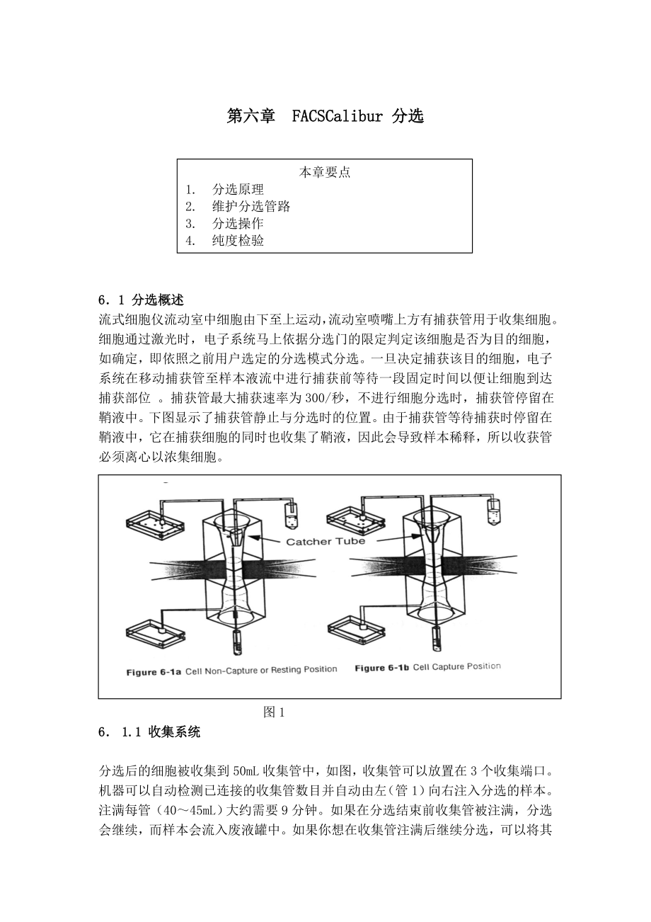 BD FACSCalibur中文操作手册FACSCalibur分选.doc_第1页