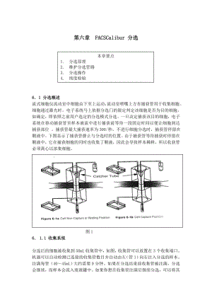 BD FACSCalibur中文操作手册FACSCalibur分选.doc