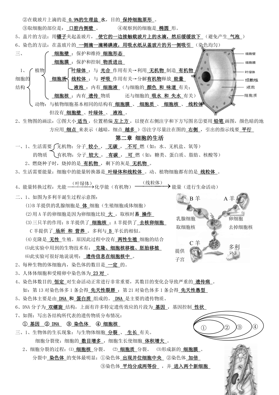 最新人教版七年级上册生物知识点归纳.doc_第3页