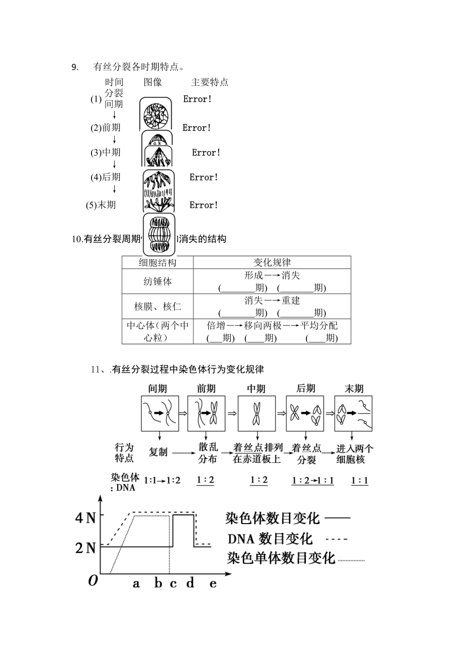 有丝分裂和减数分裂知识点总结大全.docx_第2页