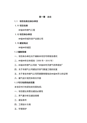 最新某市燃气工程建设项目可行性研究报告.doc