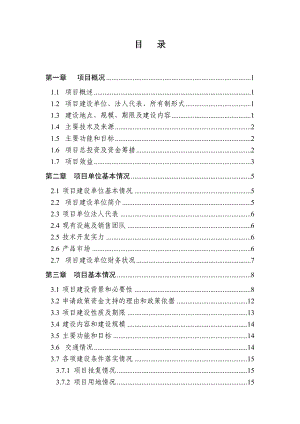 20000吨大口径输油气直缝埋弧焊管道及钢制容器建设项目资金申请报告.doc