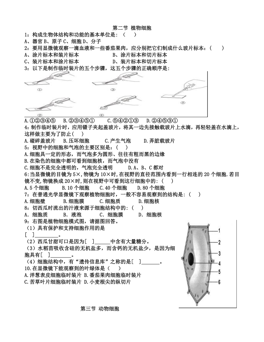 新人教版七年级生物上册第二单元第一章练习题.doc_第3页