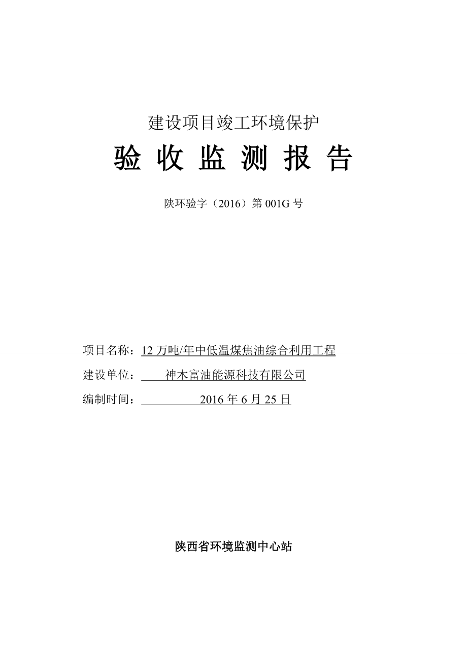 12万吨中低温煤焦全馏分加氢综合利用项目.doc_第2页