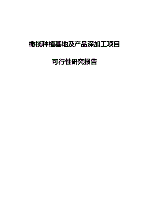 橄榄种植基地及产品深加工项目可行性研究报告.doc