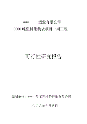 塑料集装袋篷布项目可行性研究报告(doc 107).doc