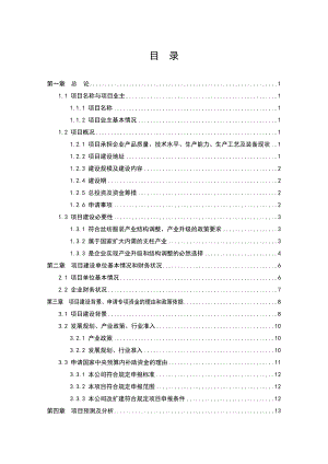 高档真丝面料出口生产线技术改造项目可行性研究报告1.doc