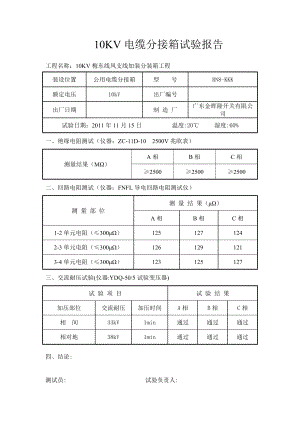 10KV电缆分接箱试验报告.doc