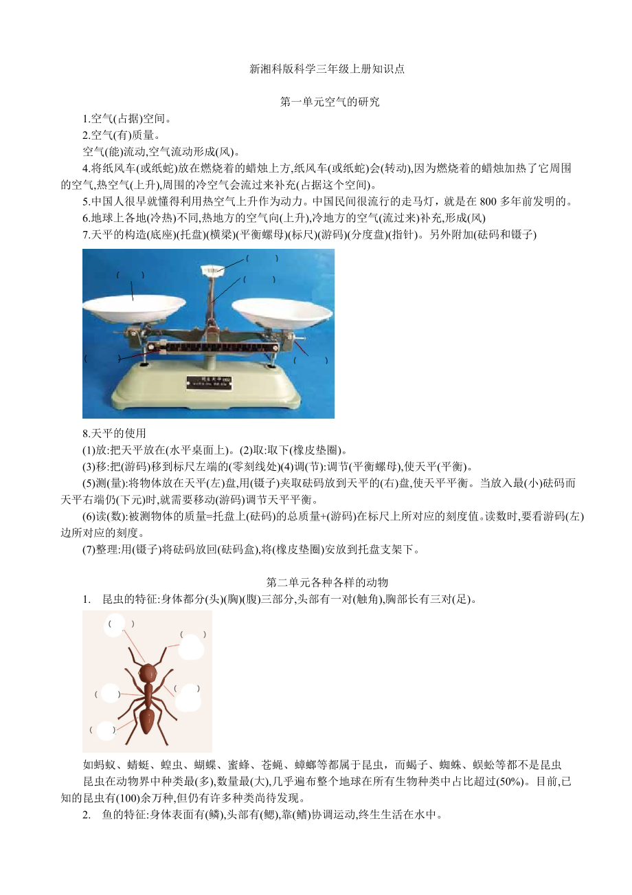 新湘科版小学科学三年级上册科学知识点.doc_第1页