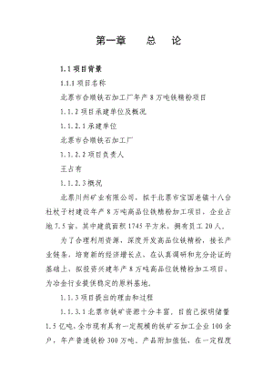 北票市合顺铁石加工厂产8万吨铁精粉加工项目可行性研究报告.doc