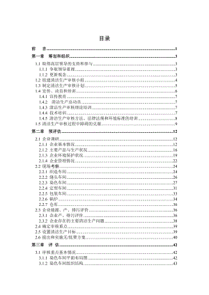 袜子清洁生产审核报告.doc