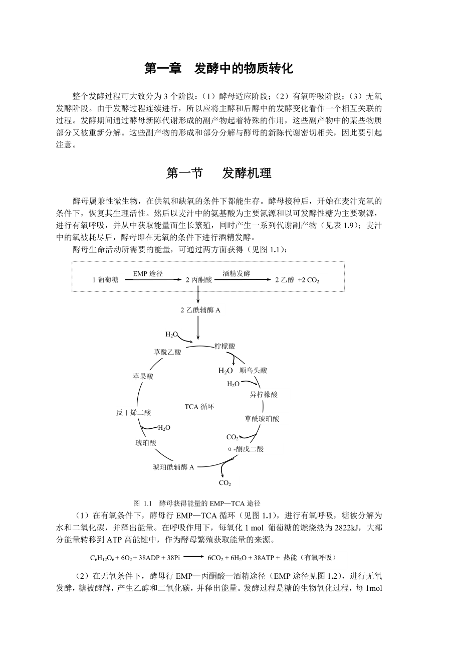 啤酒发酵工艺流程概述.doc_第2页