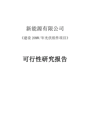 新能源有限公司太阳能光伏组件20MW项目可行性报告.doc