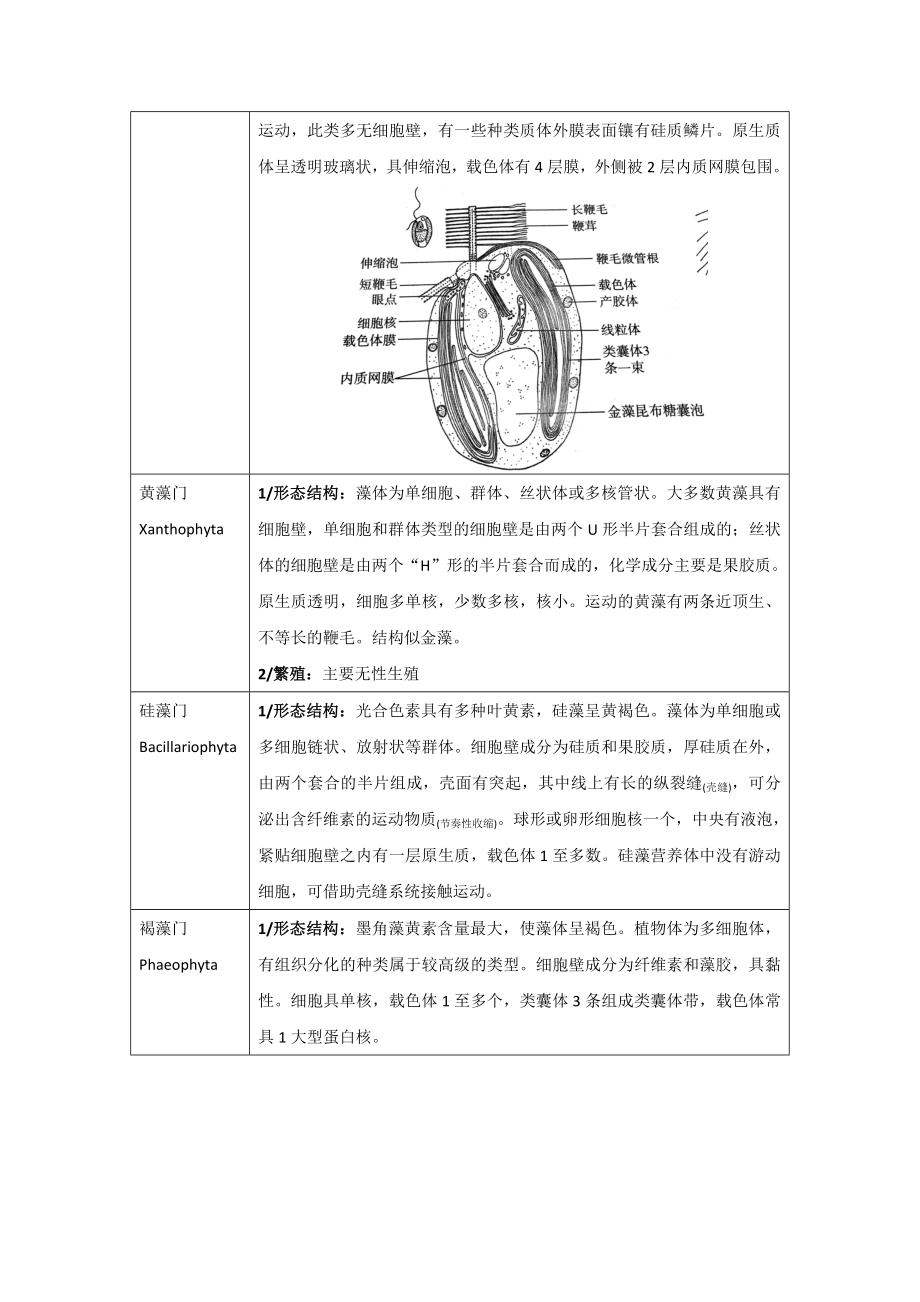 植物分类学汇总.doc_第2页