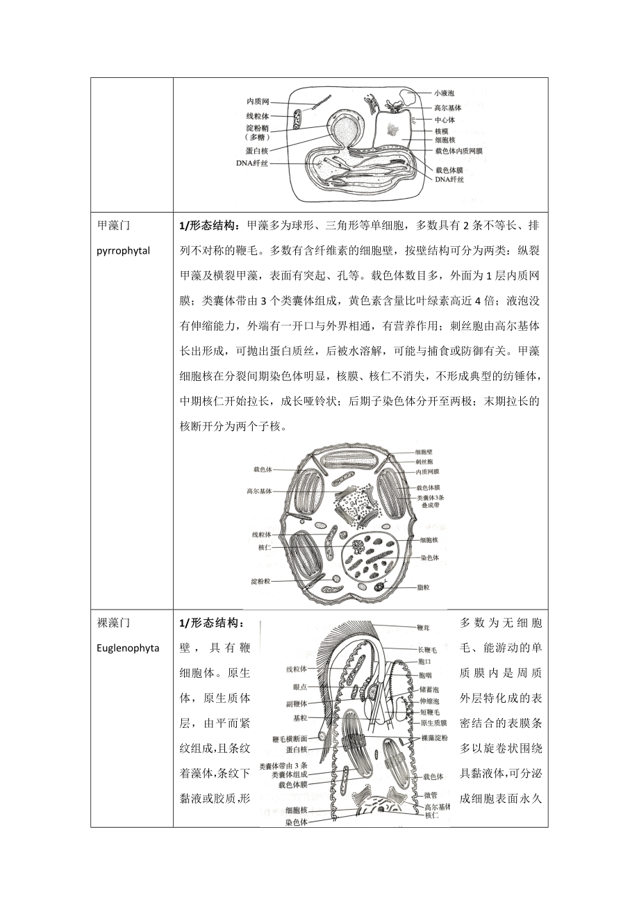 植物分类学汇总.doc_第3页