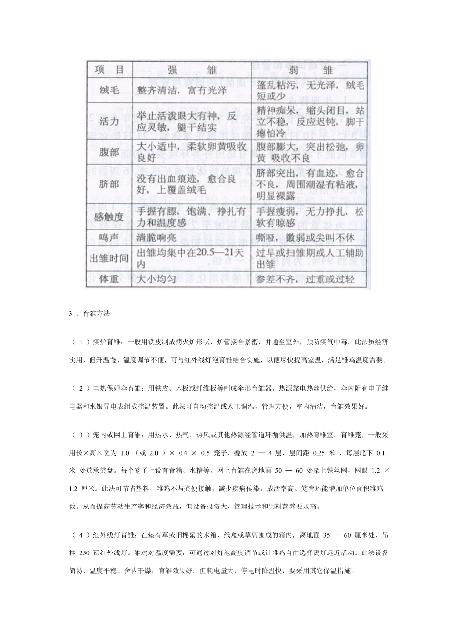 蛋鸡饲养管理.doc_第3页