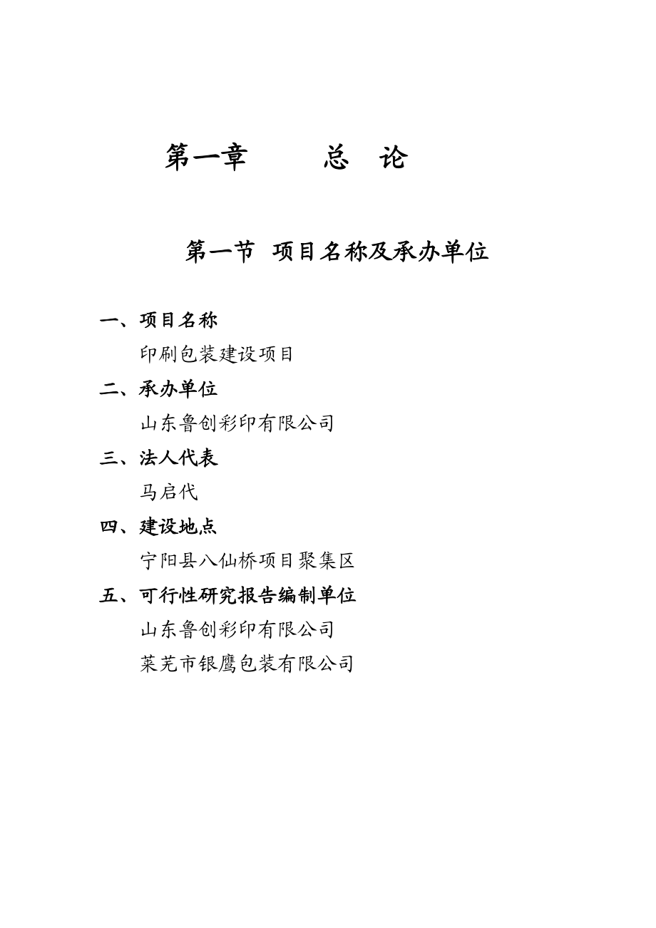 彩印包装建设项目可行性报告.doc_第1页