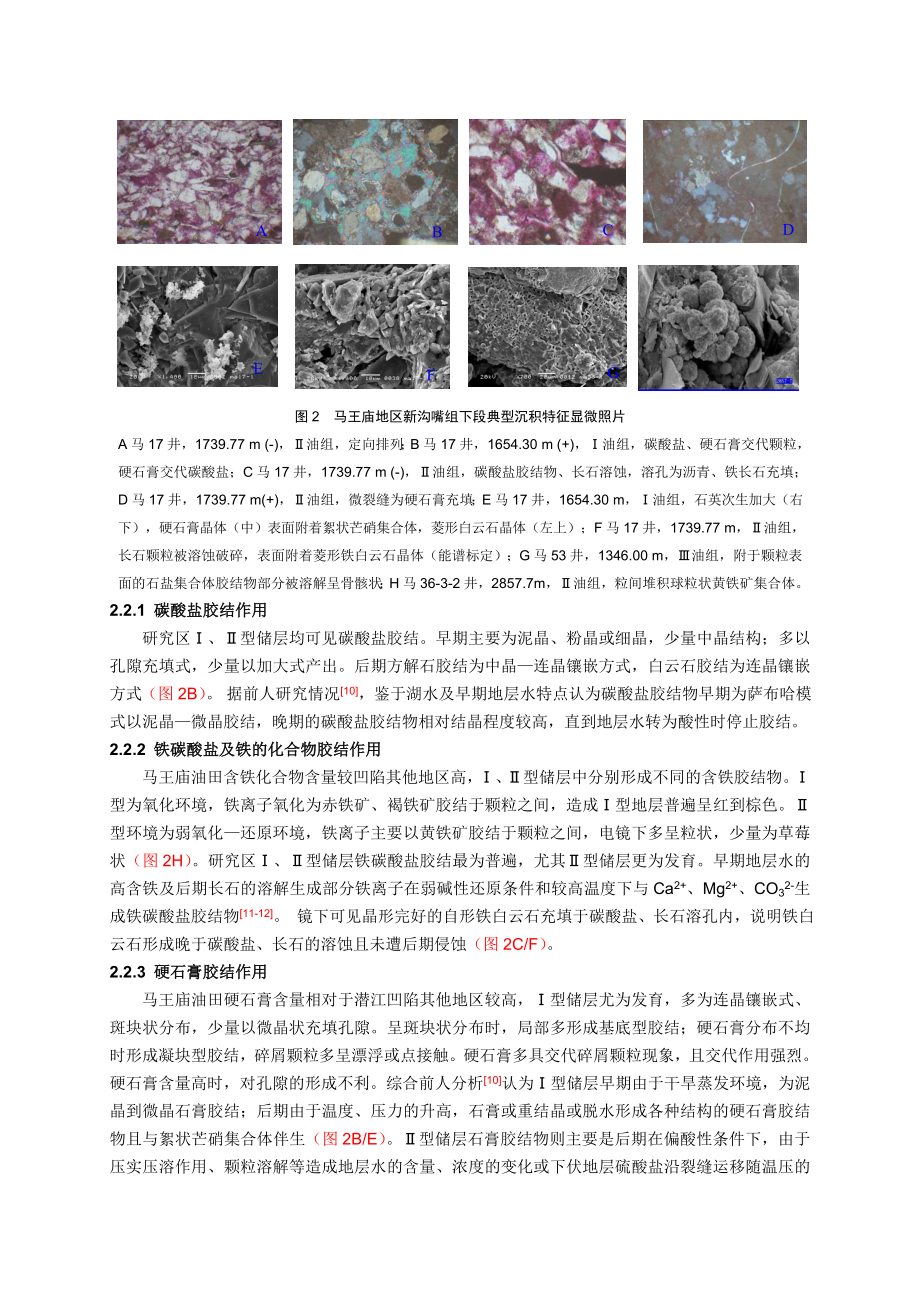 潜江凹陷马王庙地区新沟嘴组下段成岩作用.doc_第3页