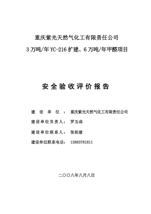 重庆紫光天然气化工有限责任公司安全验收评价报告.doc