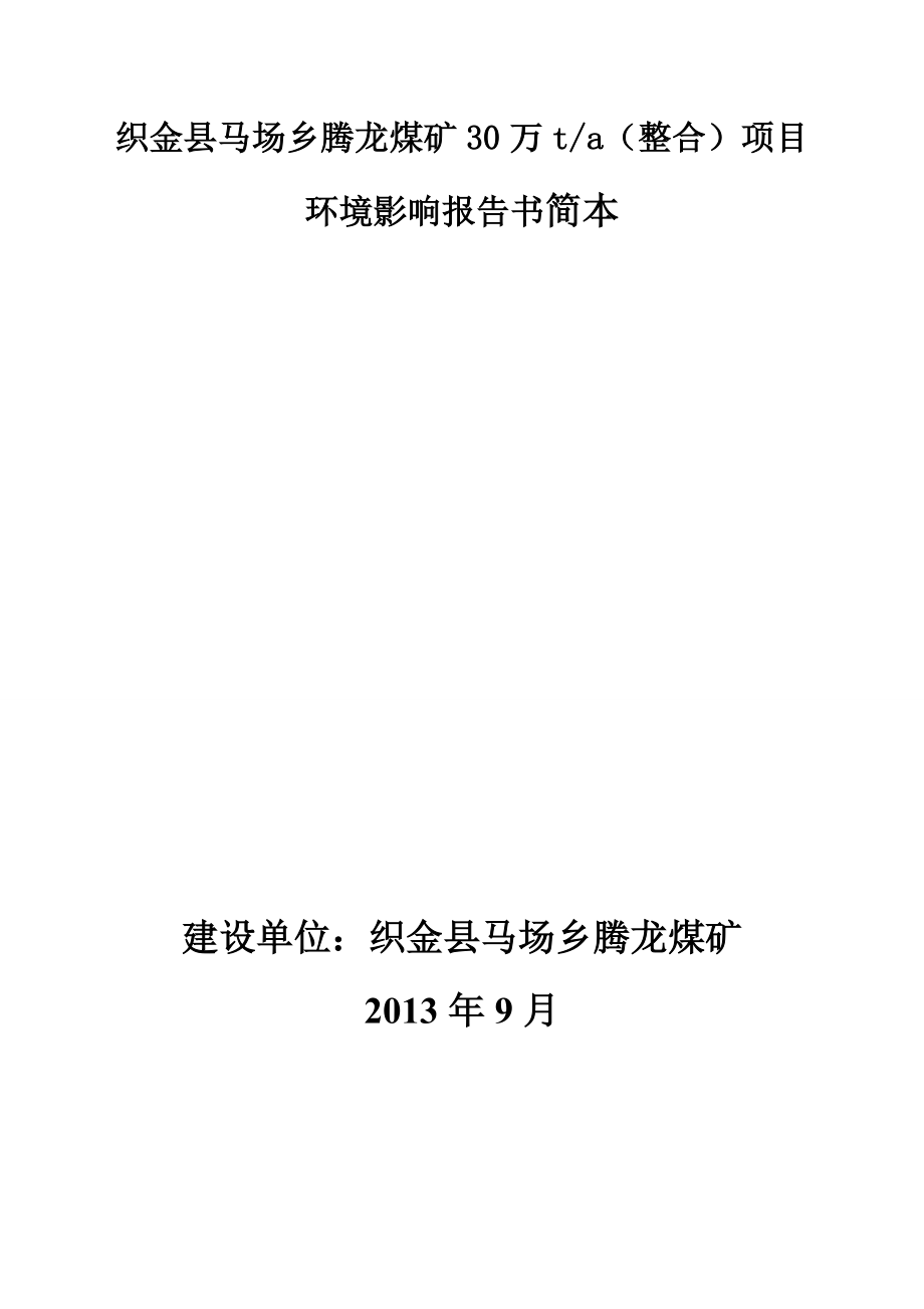 织金县马场乡腾龙煤矿30万ta（整合）项目环境影响评价报告书.doc_第1页