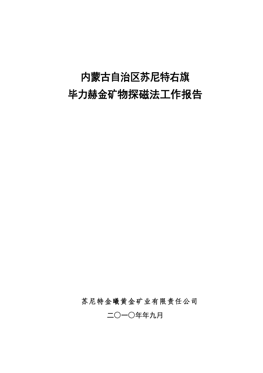 毕力赫金矿物探磁法工作报告.doc_第1页