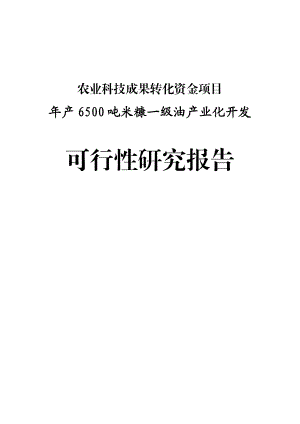 产6500吨米糠油产业化开发可行性研究报告.doc