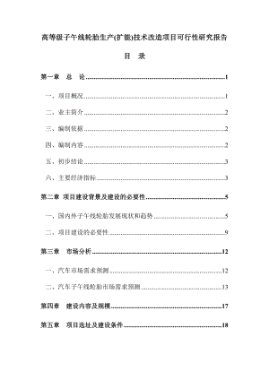 高等级子午线轮胎生产(扩能)技术改造项目可行性研究报告.doc