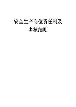 煤矿安全生产各岗位责任制及考核细则.doc