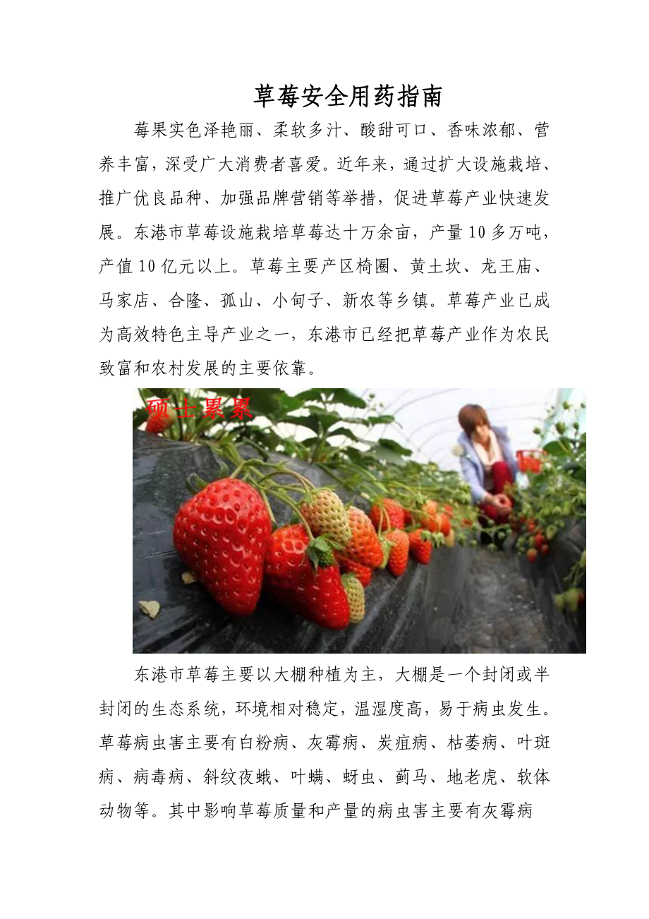 草莓用药指南Word文档汇总.doc_第1页