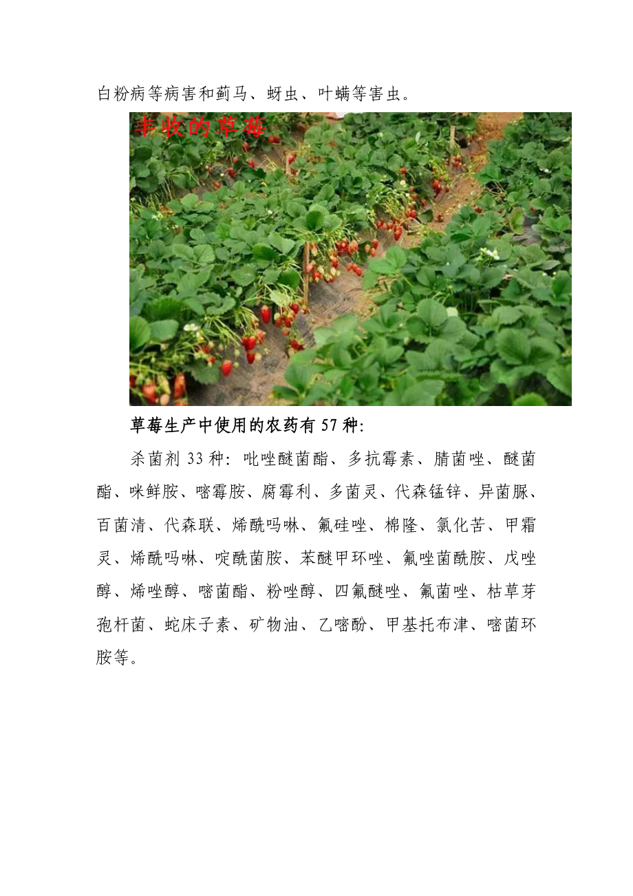 草莓用药指南Word文档汇总.doc_第2页