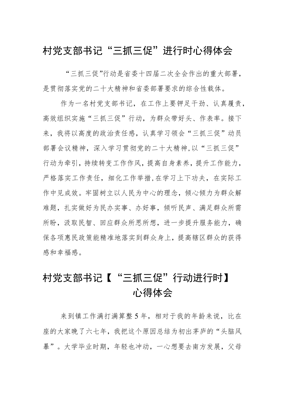 村党支部书记“三抓三促”进行时心得体会精选(三篇).docx_第1页