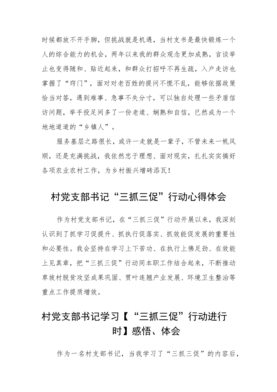 村党支部书记“三抓三促”进行时心得体会精选(三篇).docx_第3页