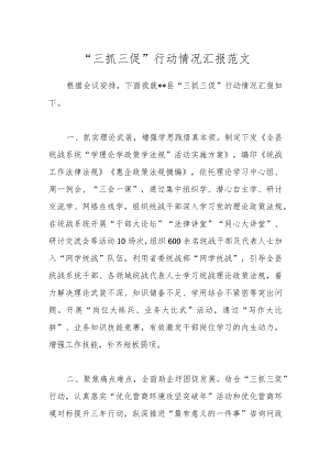 “三抓三促”行动情况汇报范文.docx