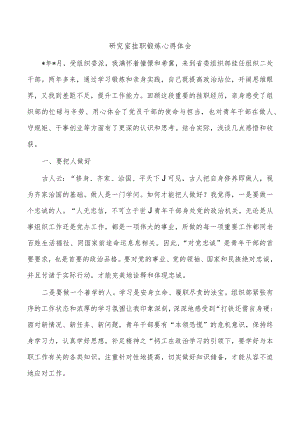 研究室挂职锻炼心得体会.docx