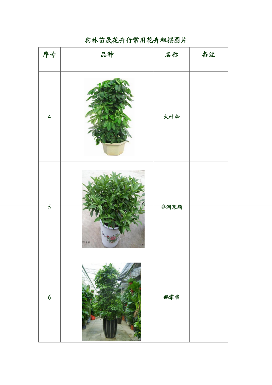 租摆植物图片分解.doc_第2页