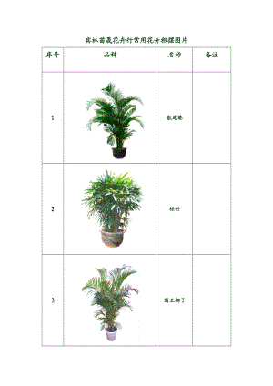 租摆植物图片分解.doc