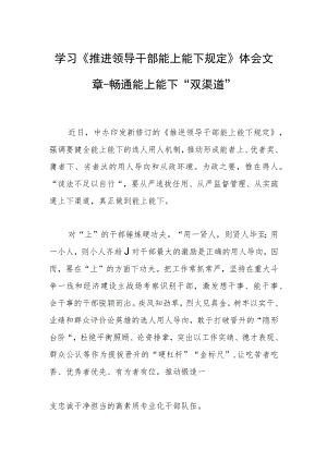 学习《推进领导干部能上能下规定》体会文章-畅通能上能下“双渠道”.docx