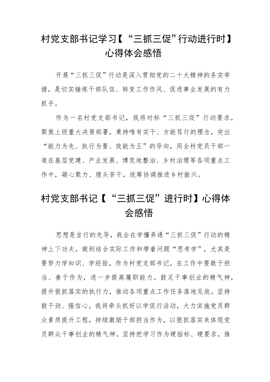 村党支部书记【“三抓三促”行动进行时】心得体会范文集合三篇.docx_第2页