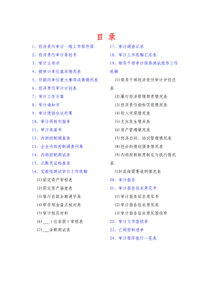 经济责任审计工作底稿标准格式.doc