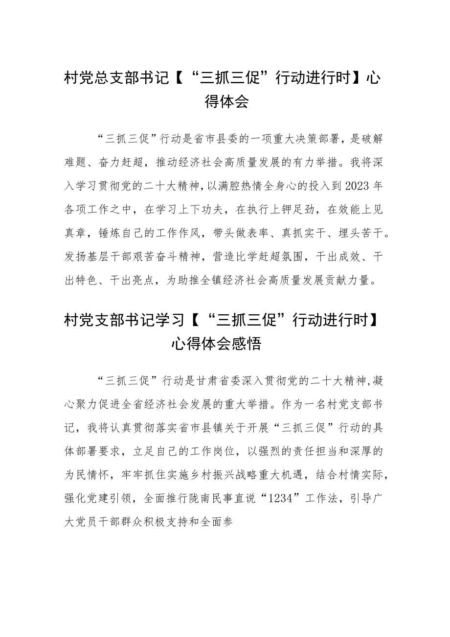 村党总支部书记【“三抓三促”行动进行时】心得体会【三篇】.docx_第1页