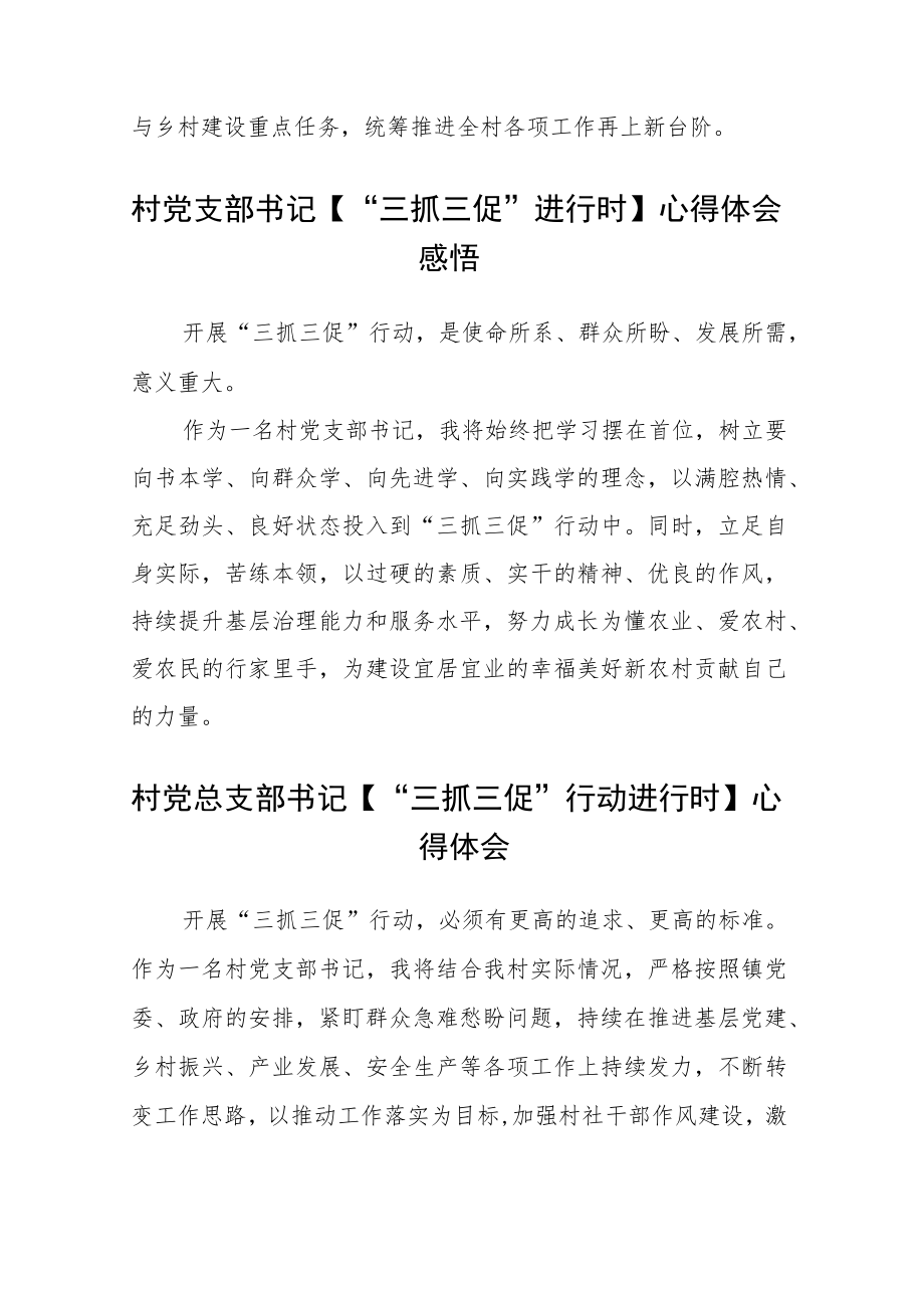 村党总支部书记【“三抓三促”行动进行时】心得体会【三篇】.docx_第2页