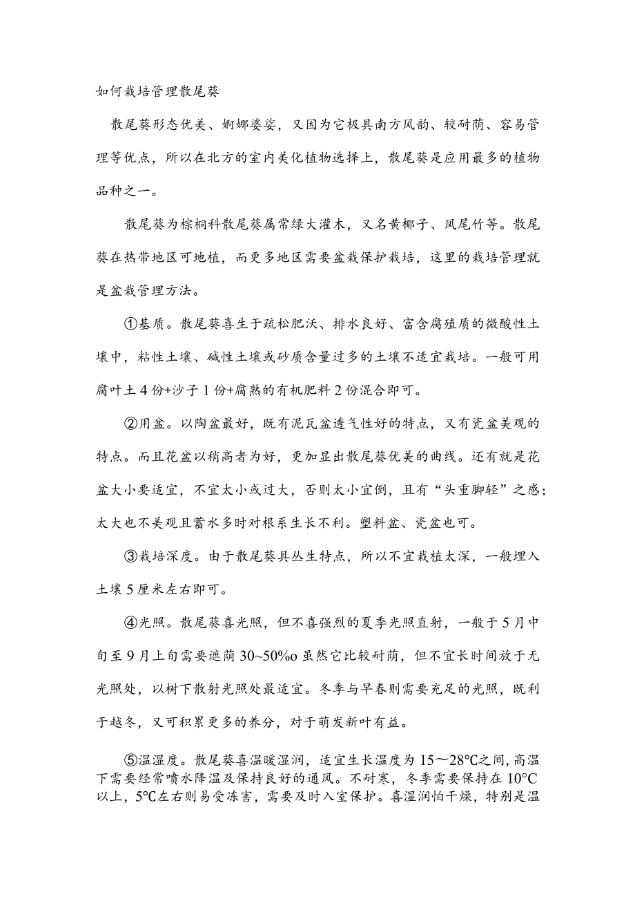 如何栽培管理散尾葵.docx_第1页