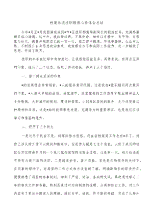 档案系统挂职锻炼心得体会总结.docx