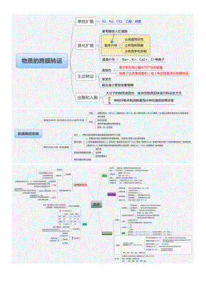 生理学思维导图.docx