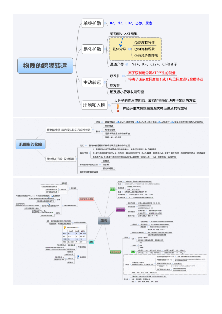 生理学思维导图.docx_第1页