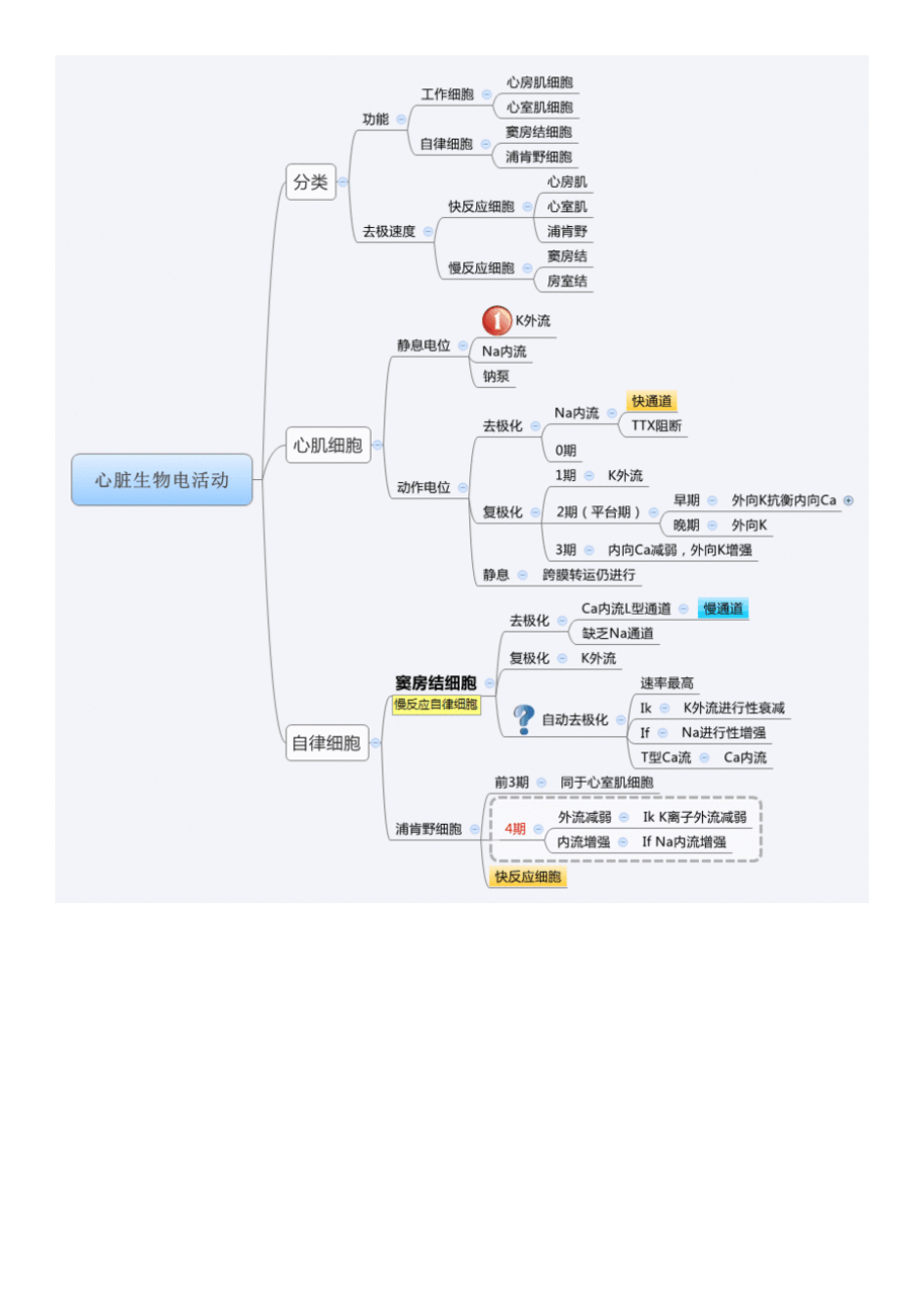 生理学思维导图.docx_第2页